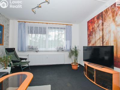 Sale apartment 1+1 Stráž pod Ralskem, Máchova č. 6