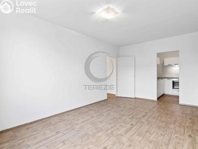 Pronájem bytu 2+KK Praha, Augustinova č. 1
