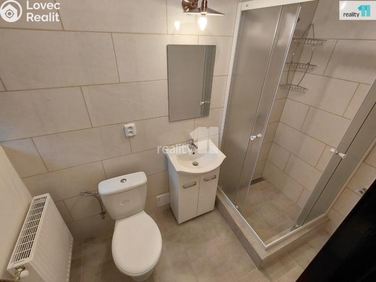 Pronájem bytu 2+1 Aš, Anglická č. 10