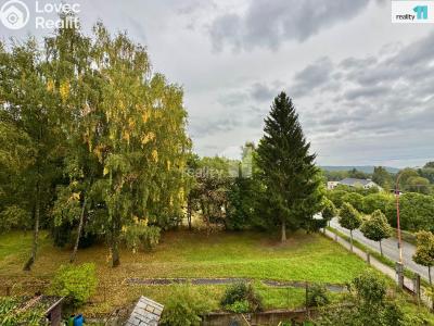 Pronájem bytu 2+1 Aš, Anglická č. 2