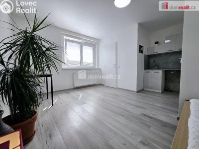 Pronájem bytu 1+KK Lužná, Nová č. 5
