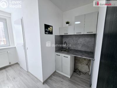 Pronájem bytu 1+KK Lužná, Nová č. 6