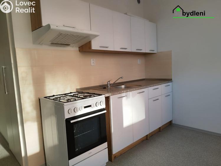 Оренда квартири 2+1 Planá, Fučíkova č. 7