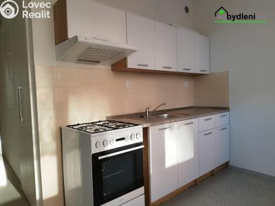 Rent apartment 2+1 Planá, Fučíkova č. 1