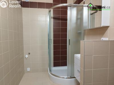 Rent apartment 2+1 Planá, Fučíkova č. 2
