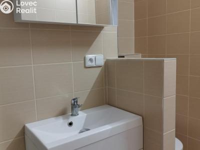Rent apartment 2+1 Planá, Fučíkova č. 3