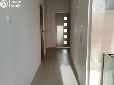 Rent apartment 2+1 Planá, Fučíkova č. 4