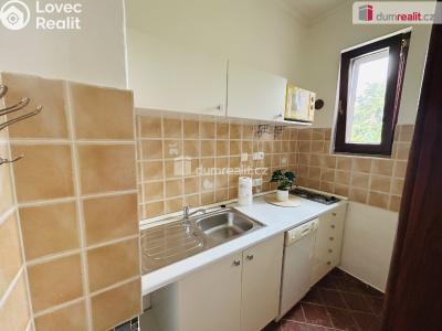 Pronájem bytu 1+1 Kolín, Havlíčkova č. 3