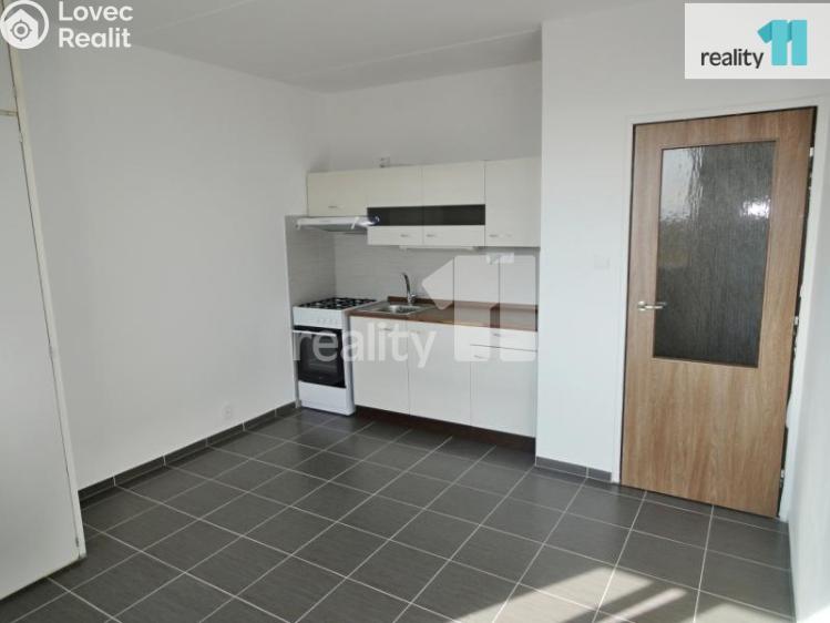 Rent apartment 1+1 Plzeň, Nýřanská č. 3