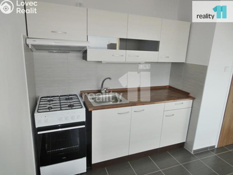 Rent apartment 1+1 Plzeň, Nýřanská č. 5