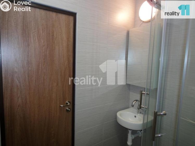 Rent apartment 1+1 Plzeň, Nýřanská č. 11
