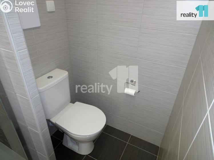 Rent apartment 1+1 Plzeň, Nýřanská č. 13