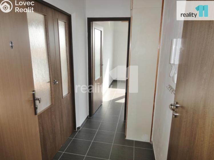 Rent apartment 1+1 Plzeň, Nýřanská č. 15