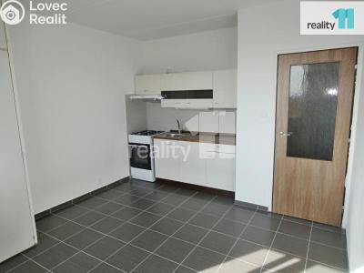 Rent apartment 1+1 Plzeň, Nýřanská č. 3