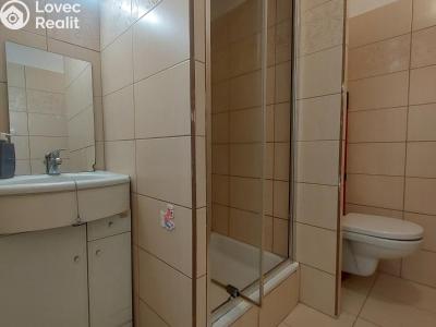 Rent apartment 1+1 Stříbro, Gagarinova č. 2
