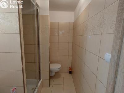 Rent apartment 1+1 Stříbro, Gagarinova č. 4