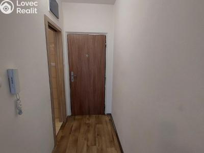 Rent apartment 1+1 Stříbro, Gagarinova č. 5