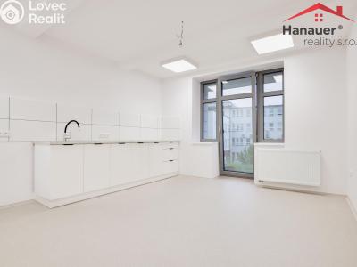 Оренда кабінету лікаря Ústí nad Labem, Koněvova č. 1