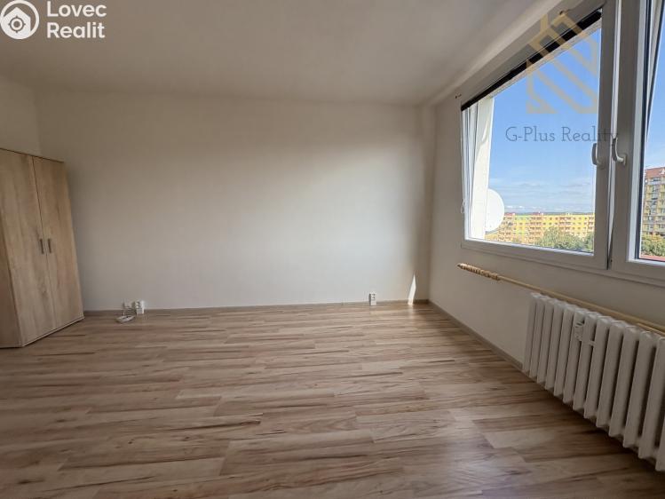Pronájem bytu 1+1 Bílina č. 8