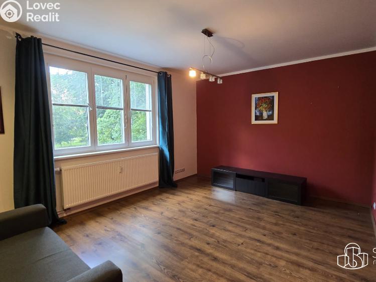 Rent apartment 2+1 Sokolov, Karla Čapka č. 2