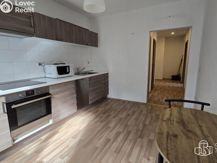 Rent apartment 2+1 Sokolov, Karla Čapka č. 3