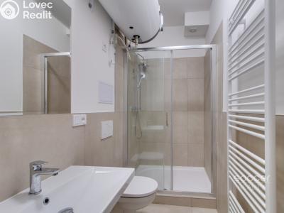 Rent apartment 1+1 Praha, Křižíkova č. 5