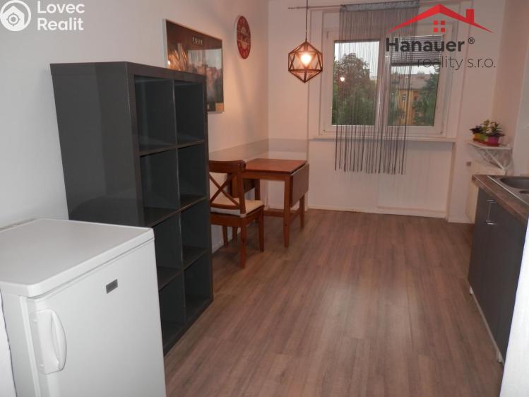 Pronájem bytu 1+1 Ústí nad Labem, Bezručova č. 7