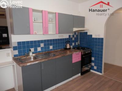 Rent apartment 1+1 Ústí nad Labem, Bezručova č. 1