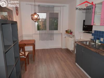 Rent apartment 1+1 Ústí nad Labem, Bezručova č. 2