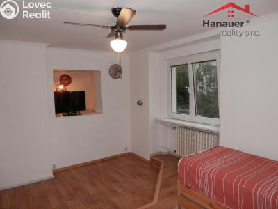 Rent apartment 1+1 Ústí nad Labem, Bezručova č. 3