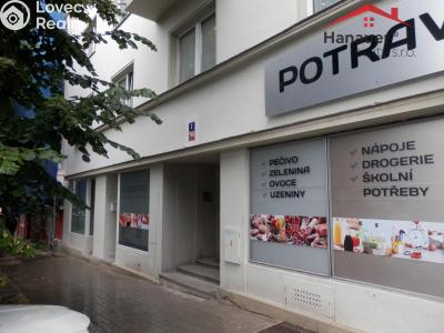 Rent apartment 1+1 Ústí nad Labem, Bezručova č. 4