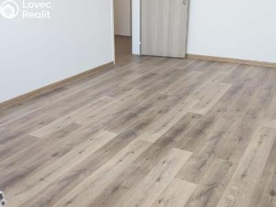 Rent apartment 3+1 Jirkov, Ervěnická č. 4