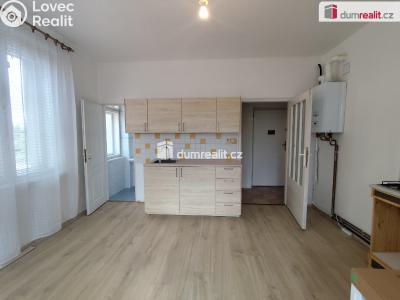 Rent apartment 1+1 Poděbrady, Říční č. 1