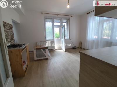 Rent apartment 1+1 Poděbrady, Říční č. 3