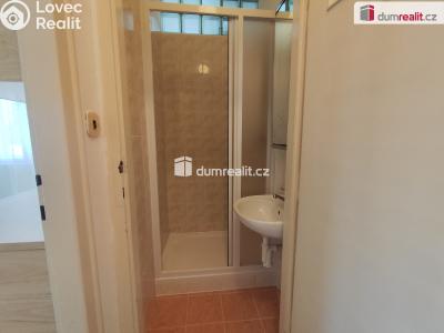 Rent apartment 1+1 Poděbrady, Říční č. 6