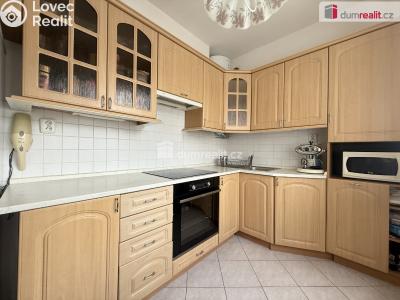 Rent apartment 2+1 Ústí nad Labem, Klíšská č. 1