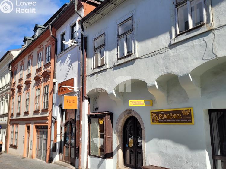 Pronájem obchodního prostoru Kolín, Na Hradbách č. 11