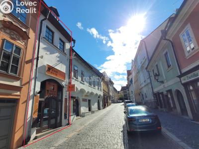 Rent commercial space Kolín, Na Hradbách č. 5
