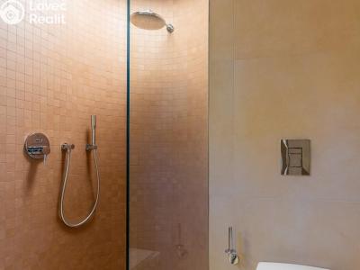 Sale apartment 3+KK Praha, Boleslavova č. 4