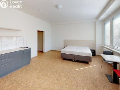 Pronájem bytu 1+KK Praha, Křížová č. 1