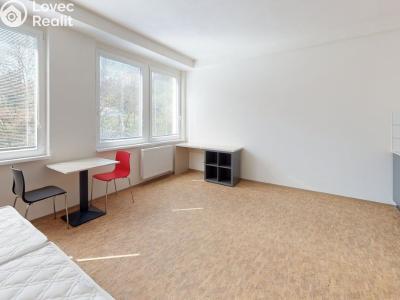 Pronájem bytu 1+KK Praha, Křížová č. 2