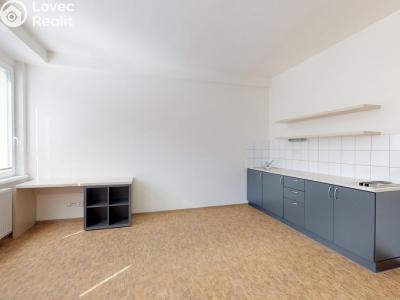 Pronájem bytu 1+KK Praha, Křížová č. 3
