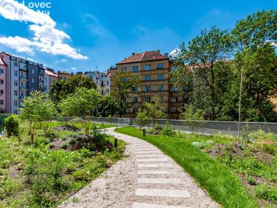 Pronájem bytu 1+KK Praha, Bassova č. 5