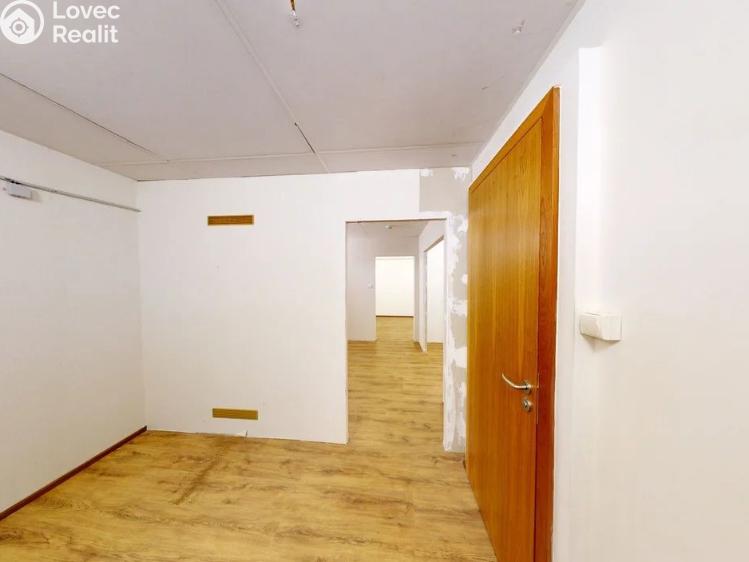 Pronájem skladového prostoru Praha, Malešická 2855/2b č. 3