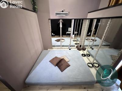 Rent commercial space Praha, Na žertvách č. 1