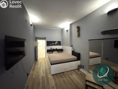 Rent commercial space Praha, Na žertvách č. 3