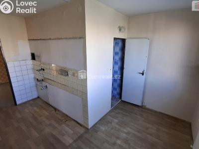Sale apartment 3+1 Plzeň, Sokolovská č. 3