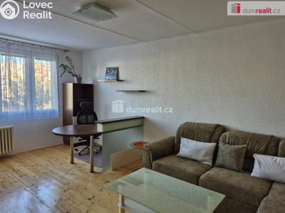 Sale apartment 2+1 Plzeň, Sokolovská č. 4