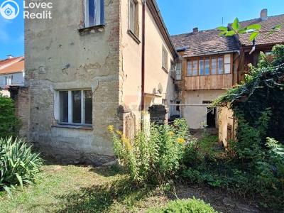 Sale multi-gen house Roudnice nad Labem, Špindlerova třída č. 1