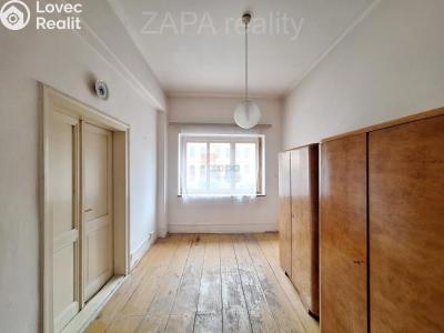 Sale multi-gen house Roudnice nad Labem, Špindlerova třída č. 6